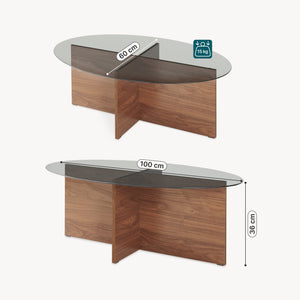 Mesa de centro Viroya 100x60x36 cm aspecto nogal/Gris [en.casa]