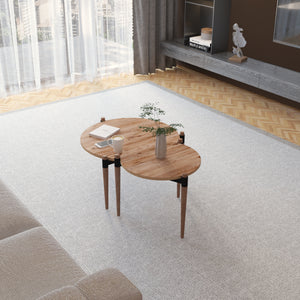 Mesa de centro Kristinestad con 2 tableros de mesa Natur [en.casa]
