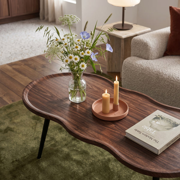 Mesa de centro Ken 100 x 60 x 47 cm aspecto nogal [en.casa]