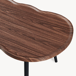Mesa de centro Ken 100 x 60 x 47 cm aspecto nogal [en.casa]