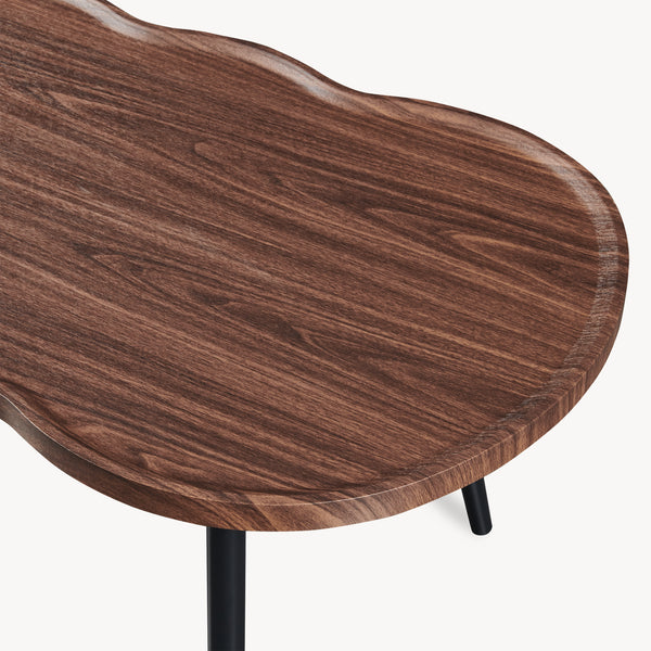 Mesa de centro Ken 100 x 60 x 47 cm aspecto nogal [en.casa]