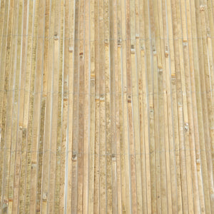 Valla de bambú Baarle Natur en varios tamaños [casa.pro]