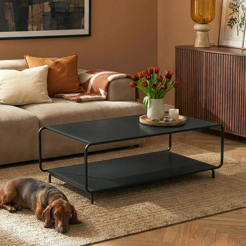 Mesa de centro Færder 115x50x45 cm Acero Negro [en.casa]