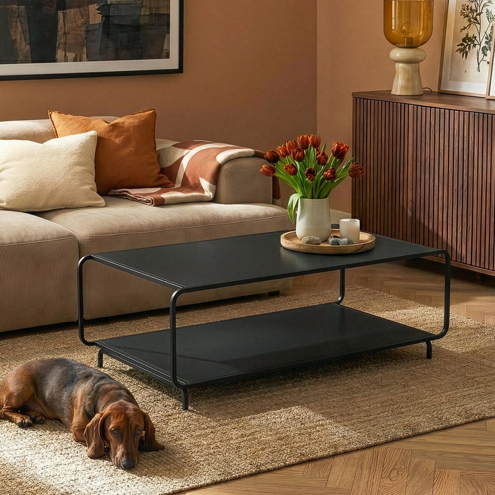 Mesa de centro Færder 115x50x45 cm Acero Negro [en.casa]