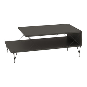Mesa de centro Asker 100x50x40 cm [en.casa]