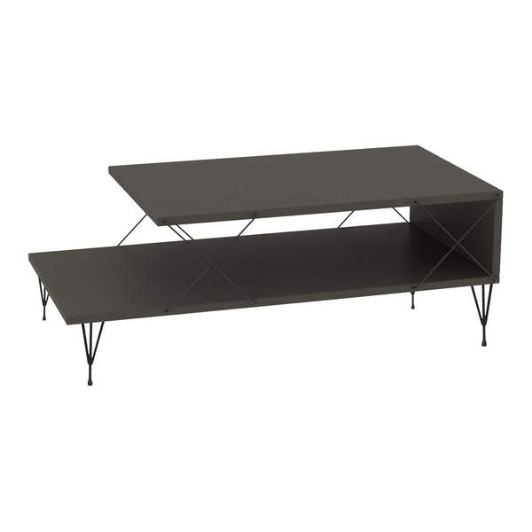 Mesa de centro Asker 100x50x40 cm [en.casa]