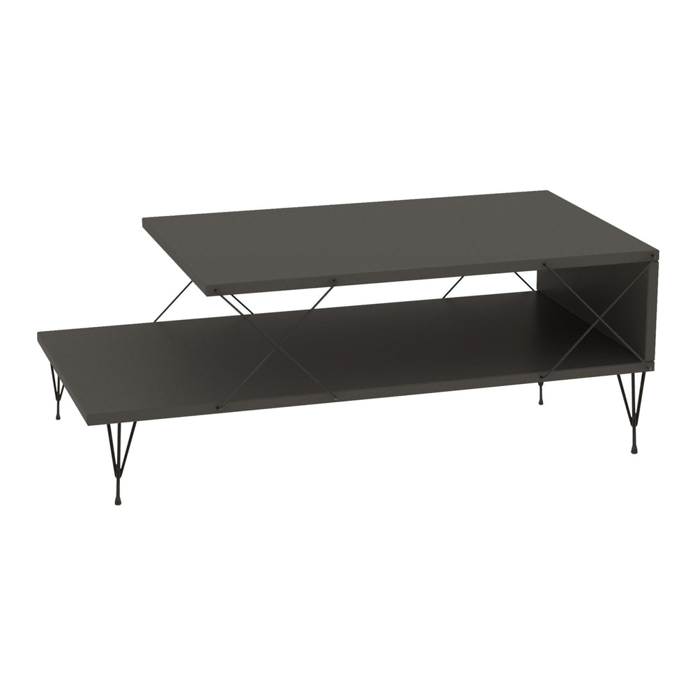 Mesa de centro Asker 100x50x40 cm [en.casa]