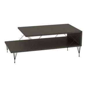 Mesa de centro Asker 100x50x40 cm [en.casa]