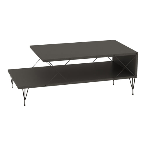 Mesa de centro Asker 100x50x40 cm [en.casa]