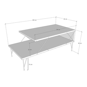 Mesa de centro Asker 100x50x40 cm [en.casa]