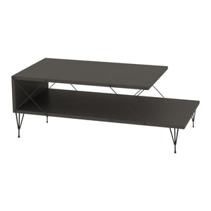 Mesa de centro Asker 100x50x40 cm [en.casa]