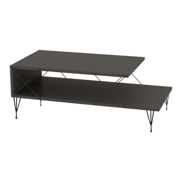 Mesa de centro Asker 100x50x40 cm [en.casa]