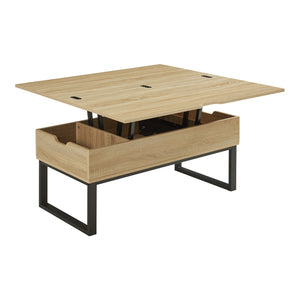 Mesa de centro Rauli con tablero elevable y espacio de almacenamiento 100x50x47 cm [en.casa]