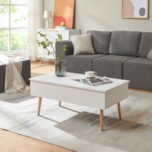 Mesa de centro con espacio de almacenamiento Flesen [en.casa]
