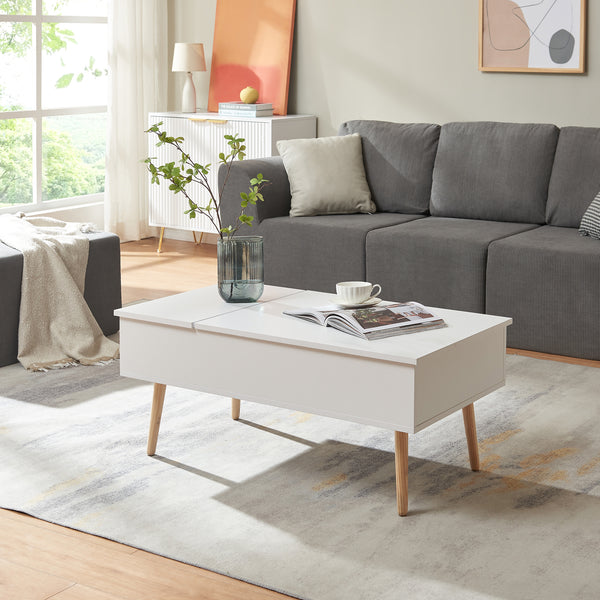 Mesa de centro con espacio de almacenamiento Flesen [en.casa]