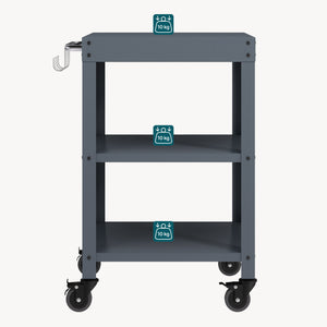Carro de servicio para jardín Bolognano 81x50x50 cm - [casa.pro]