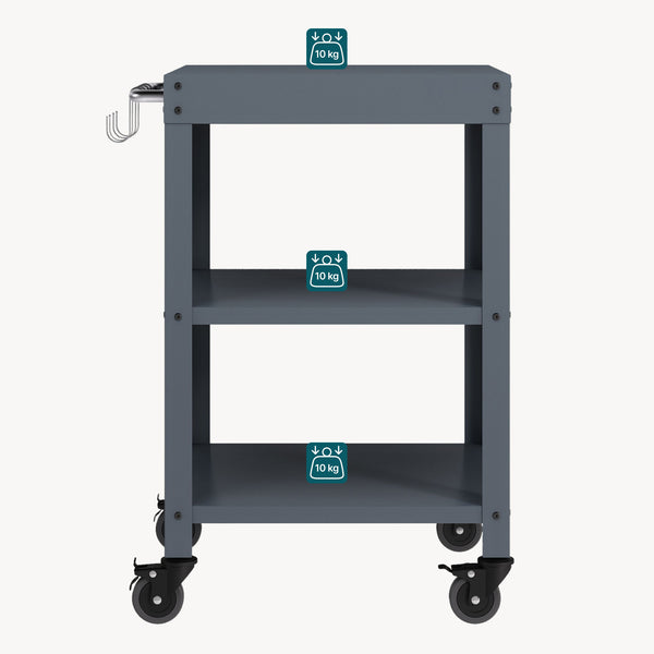 Carro de servicio para jardín Bolognano 81x50x50 cm - [casa.pro]
