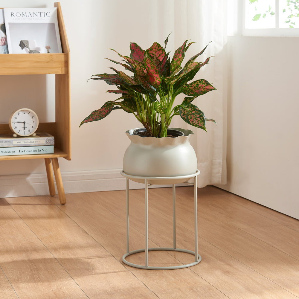 Soporte para plantas Assen [en.casa] - premiumXL