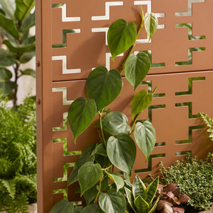 Tabique Aaskis con jardinera exterior 190x82/120x38cm [casa.pro]